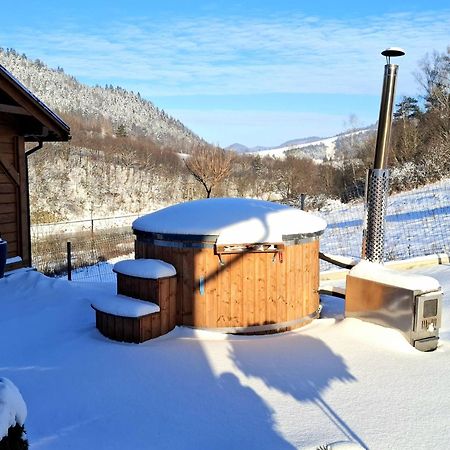 Willa Na Wzgorzu Piwniczna-Zdroj Exterior foto